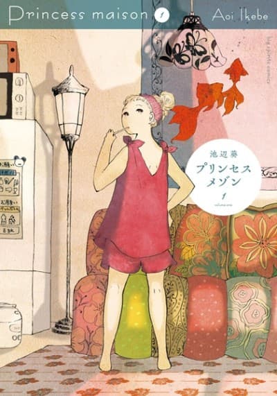 Capa de Princess Maison