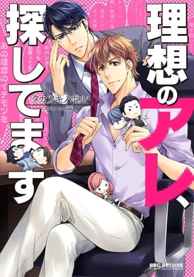 Capa de Looking for the Perfect Fit