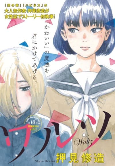 Capa de Waltz
