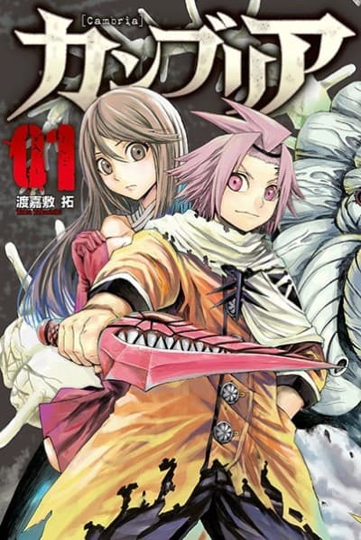 Capa de Cambria