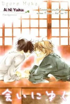Capa de Ai ni Yuku