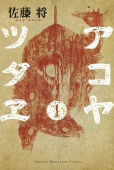 Capa de The Chronicle of Akoya
