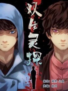 Capa de Twin Spirit Detectives