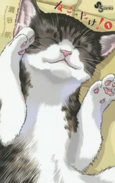 Capa de Cat + Crazy