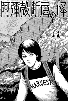 Capa de The Enigma of Amigara Fault