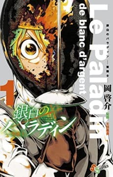 Capa de Silver Paladin: Holy Knight