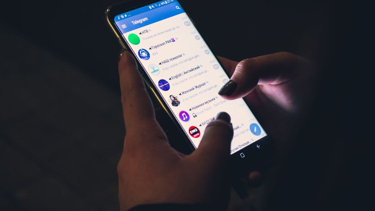 Make My Tingle chega ao Telegram e Viki e já conquista fãs