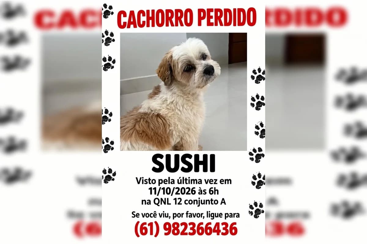 SushiTime convoca sushilovers de Chihuahua para encontro às 13h