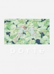 Capa de porte