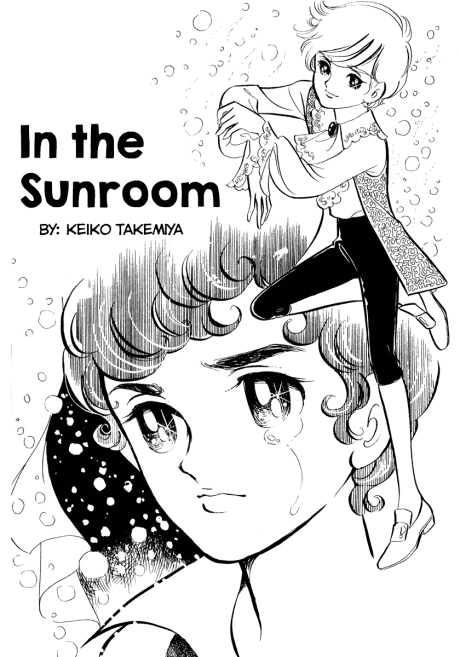 Capa de Sunroom nite