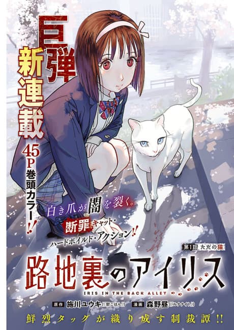 Capa de Rojiura no Iris