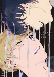 Capa de Melting Lover